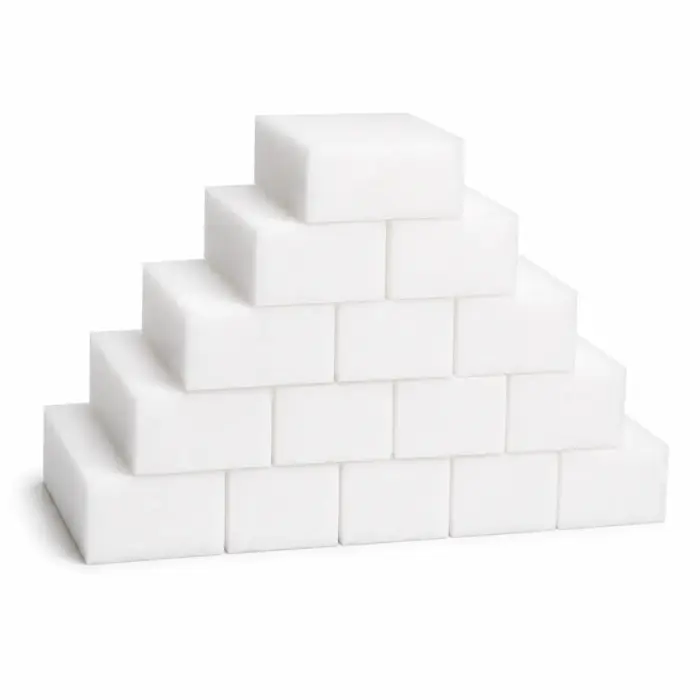 Reinigingsspons